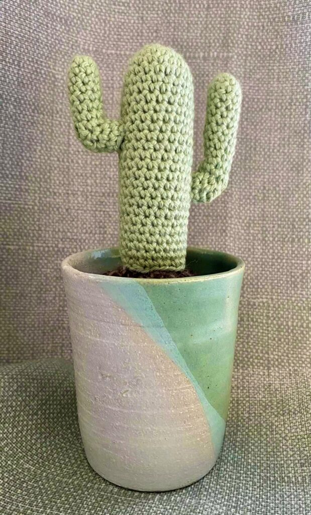 Yorkshire green crochet cacti