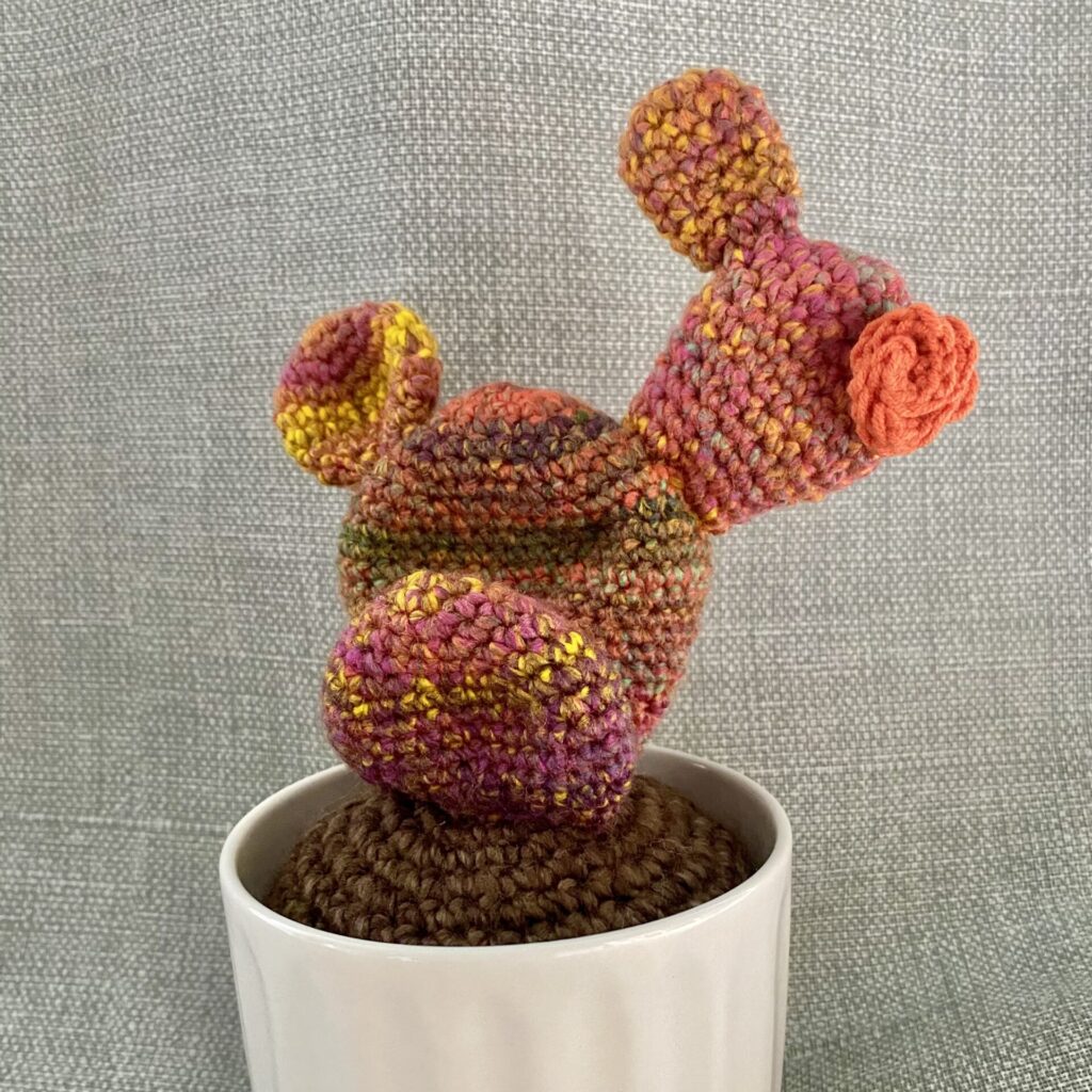 Yorkshire orange crochet cacti