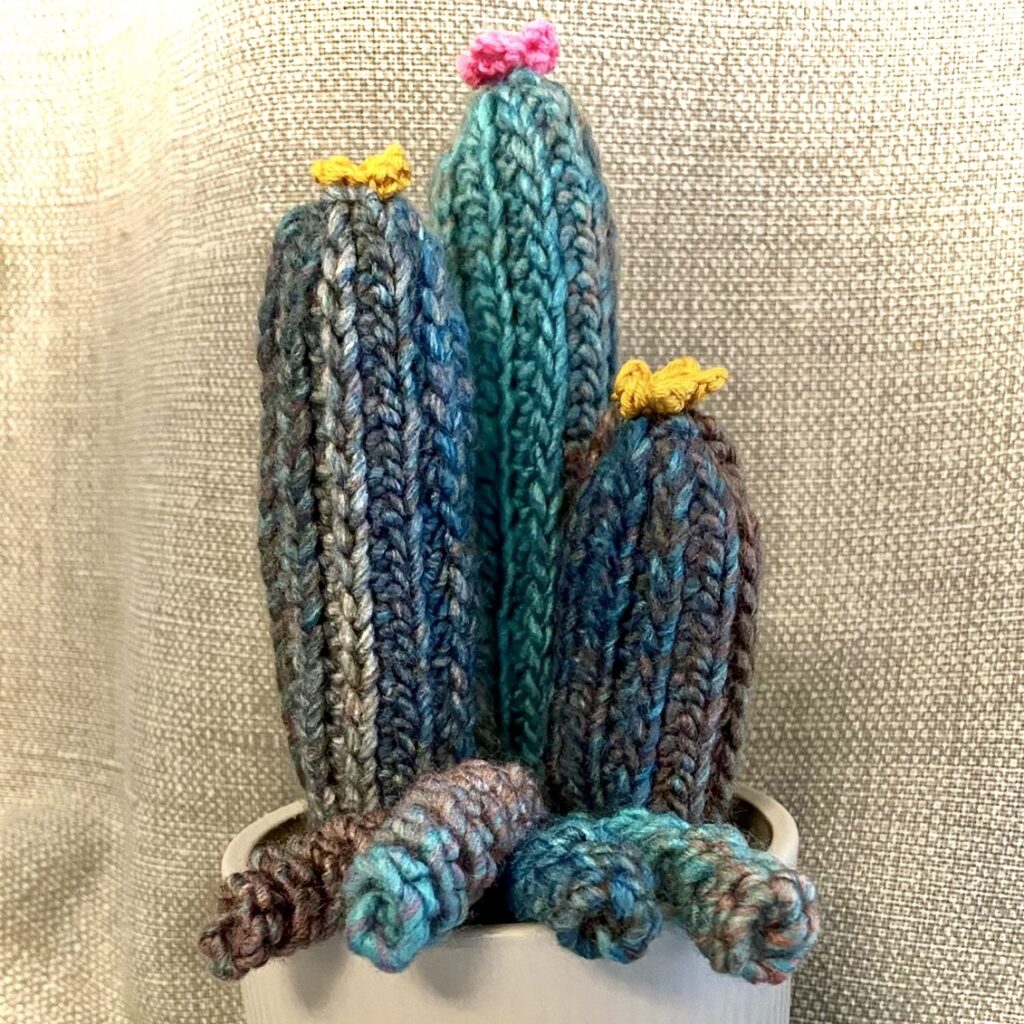 Yorkshire multi crochet cacti